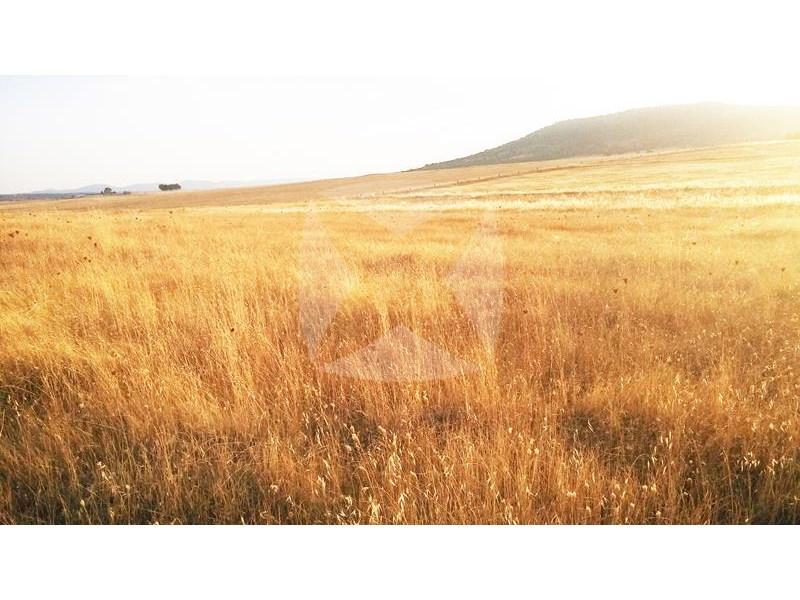 FINCA RÚSTICA EN VENTA en Cáceres - Imagen 1