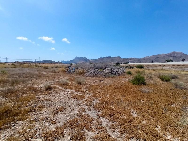 PARCELA RUSTICA DE 4.000 M2 en Águilas - Imagen 1