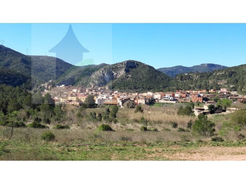 FINCA RUSTICA CON VIVIENDA en Cambrils - Imagen 1