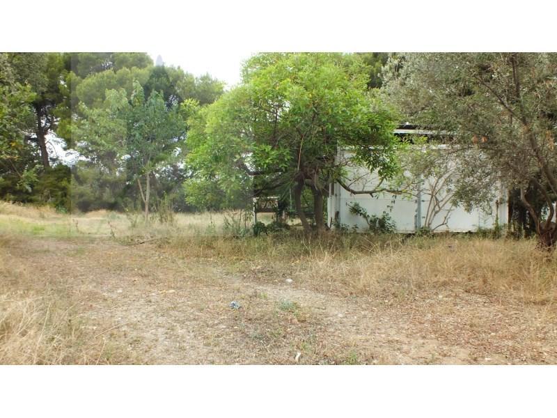 Finca Rustica en Cambrils - Imagen 1