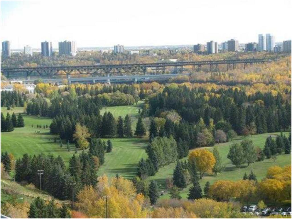 River Valley View in Edmonton - Image 1