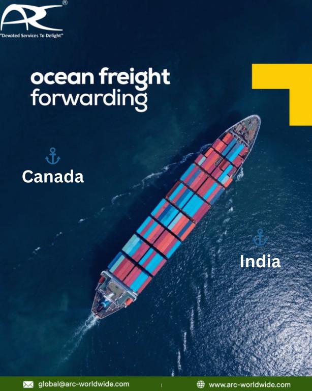 How Does a Freight Forwarder Handle Missing Freight in Delhi Cantonment - Image 1