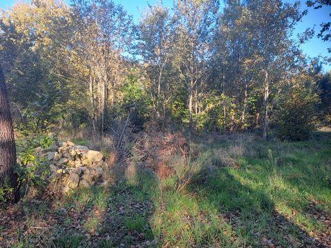 TERRAIN CONSTRUCTIBLE à Saint-Médard-en-Jalles - Photo 1