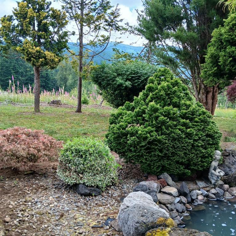 General landscape in Vancouver - Image 3