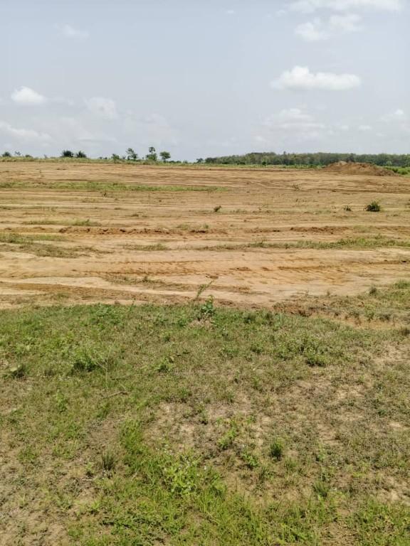 vente terrain bacimmo en Côte d’Ivoire - Photo 2