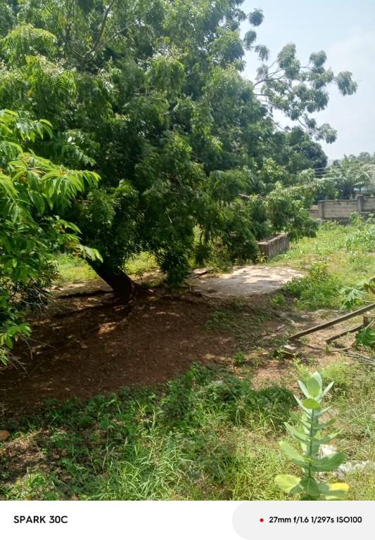 *TITLED 3.9ACRES PLOTS AIRPORT ACCRA* in Ghana - Image 2