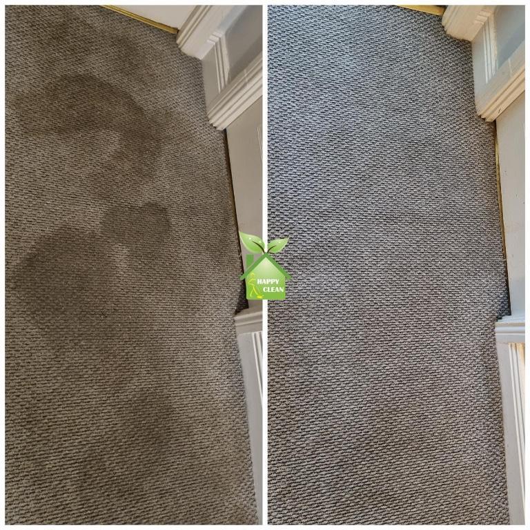 PROFESSIONAL CARPET CLEANING in Dublin - Image 1