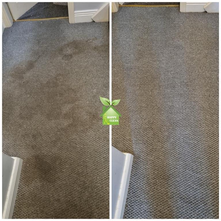 PROFESSIONAL CARPET CLEANING in Dublin - Image 3