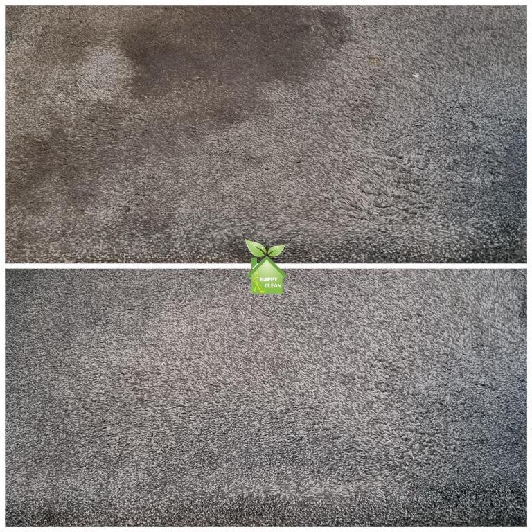 PROFESSIONAL CARPET CLEANING in Dublin - Image 2