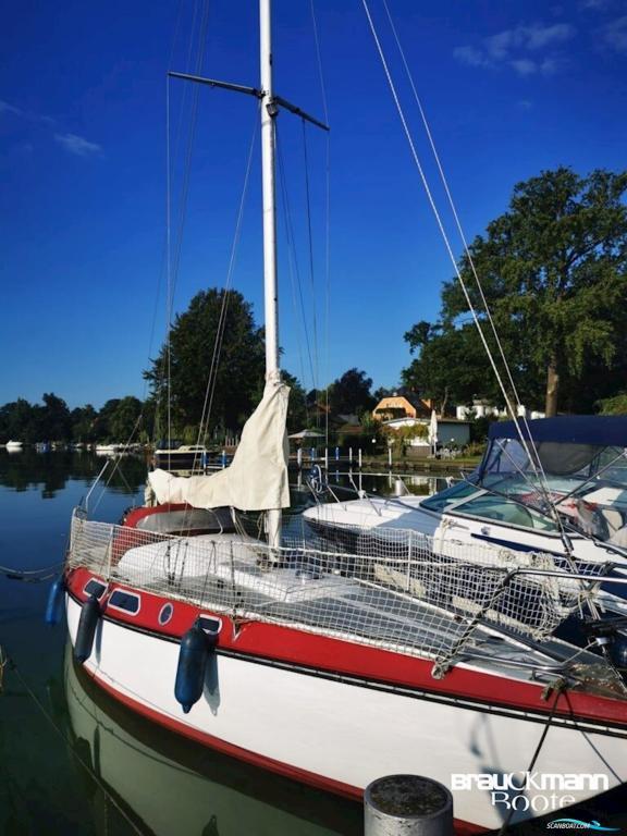 Loder Smiling 29 in Arnstadt - Bild 1