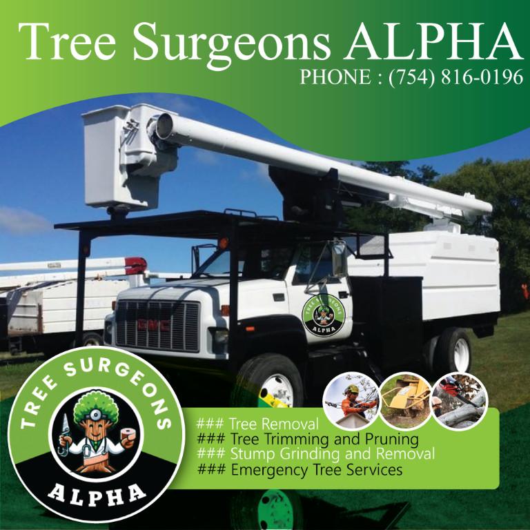 Tree Service 954 in Miami - Image 2