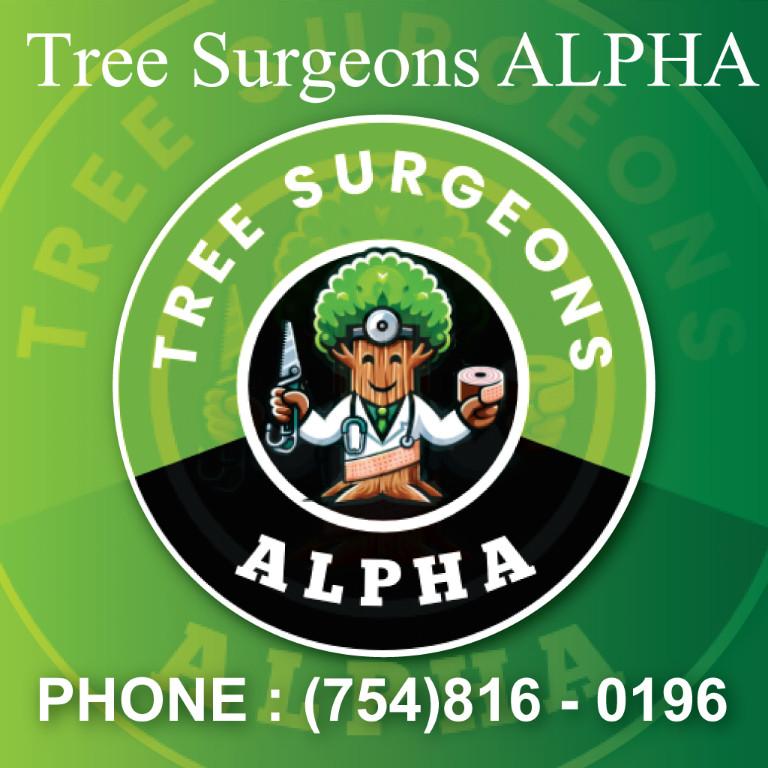 Tree Service 954 in Miami - Image 1