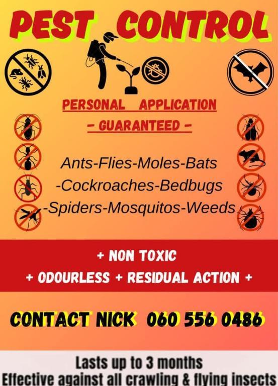 Pest control cheap in South Africa - Image 1