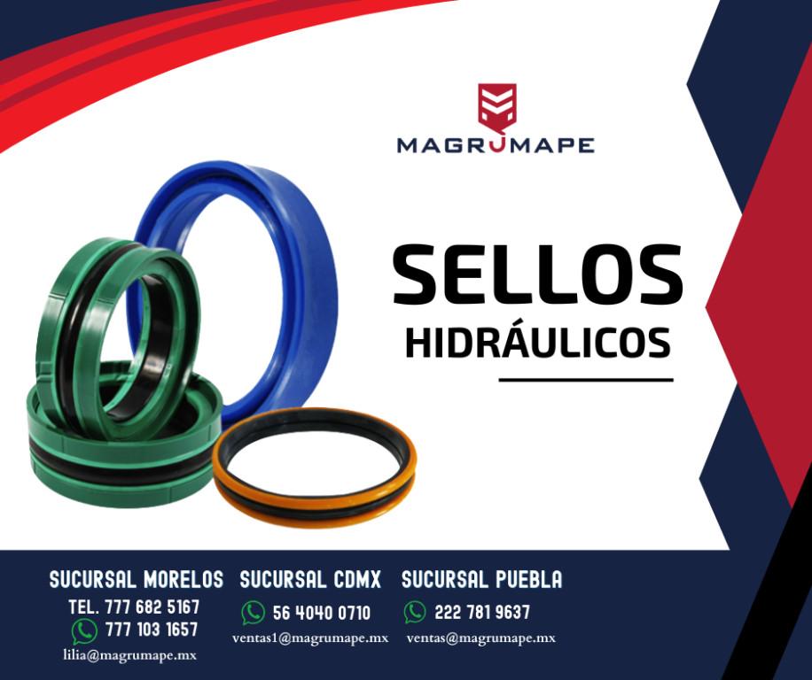 SELLOS HRÁULICOS en Coatzacoalcos - Imagen 1