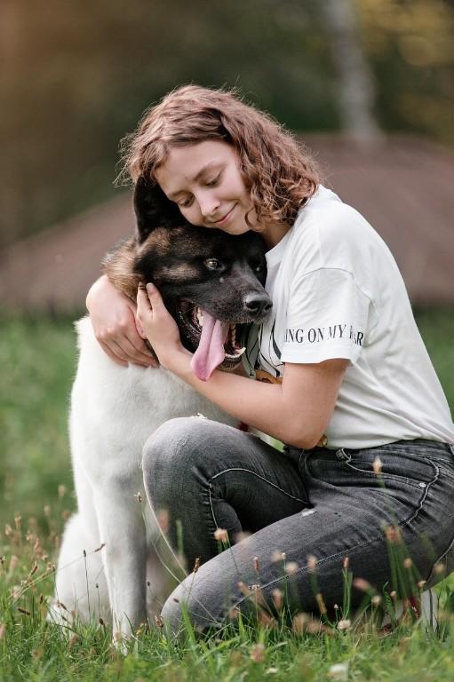 MovingBay – India’s Reliable Pet Relocation Service! in Shanti Nagar - Image 1