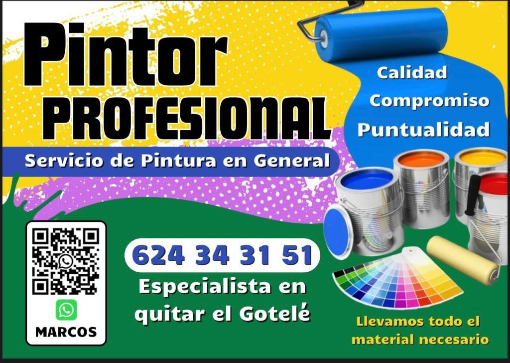 PINTOR PROFESIONAL en Vigo - Imagen 5