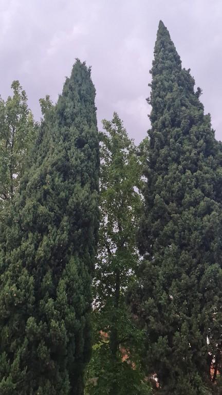 SE NECESITAN MODELOS en Alcorcón - Imagen 1