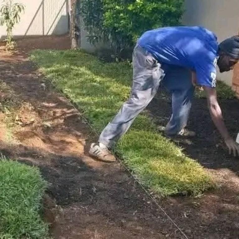 TOP QUALITY INSTANT LAWN BEST PRICES. in Randburg - Image 2