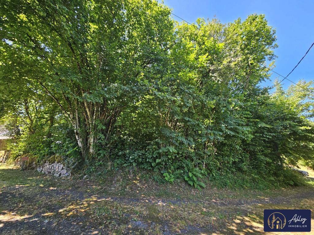 Terrain constructible à Aurillac - Photo 1
