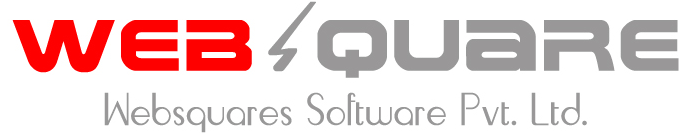 WebSquare Software Private Limited in Jaipur - Image 1