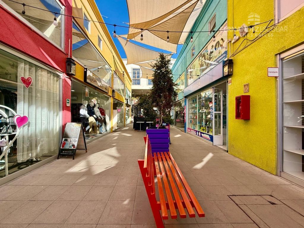 SAN FELIPE - ARRIENDA LOCAL COMERCIAL 50m2 en Renca - Imagen 11