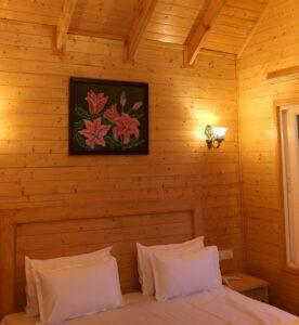 Hotels In Auli | The Auli Meadows in India - Image 4