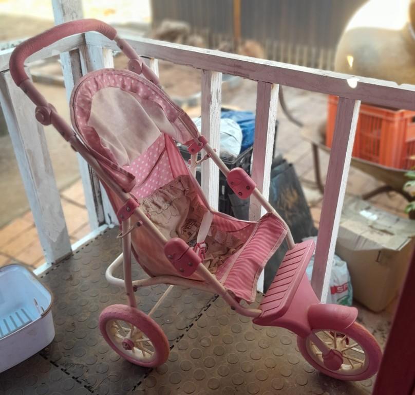 LITTLE GIRLS DREAMs do come true... in South Africa - Image 4