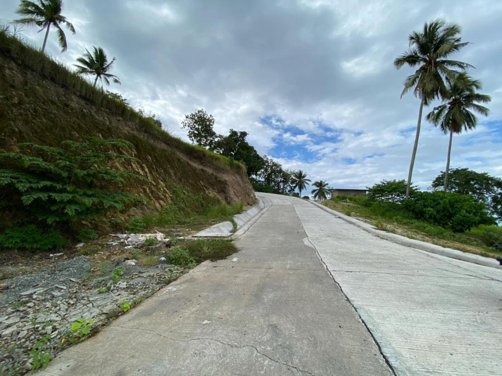Overlooking Property in Philippines - Image 4
