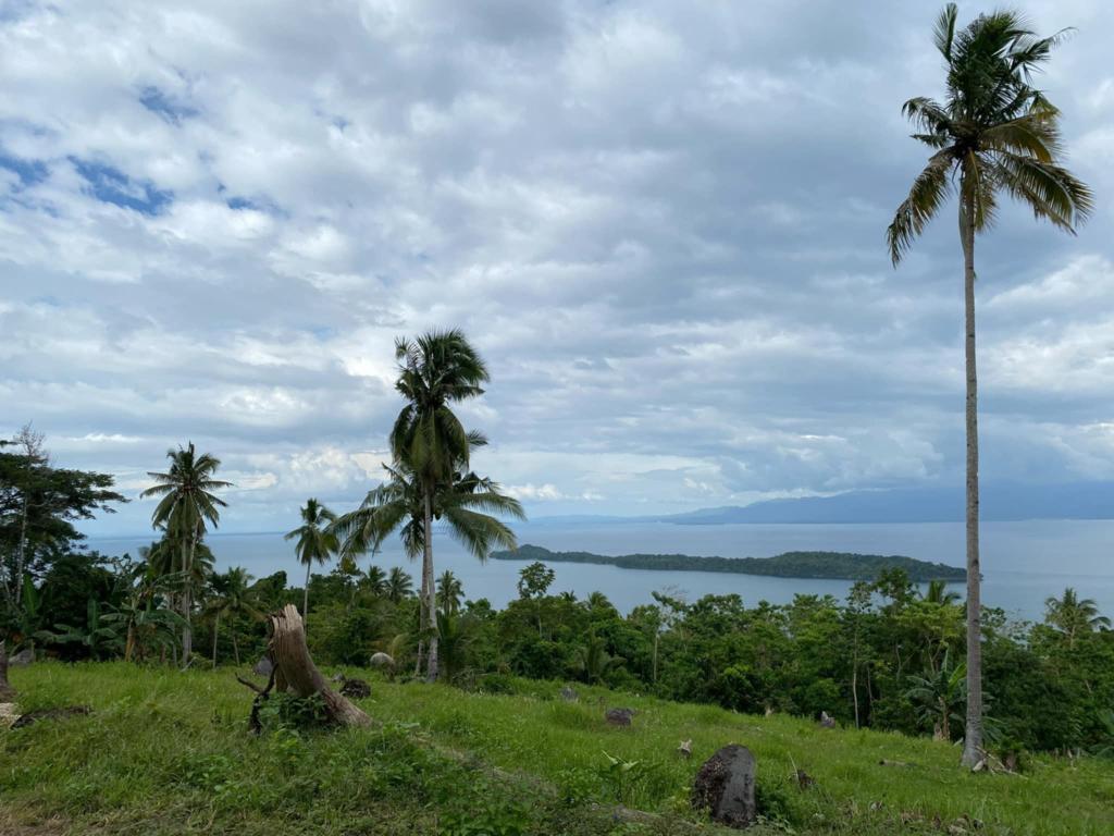 Overlooking Property in Philippines - Image 5