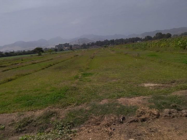 OCASIÓN TERRENO BUJAMA MALA en Chilca - Imagen 2