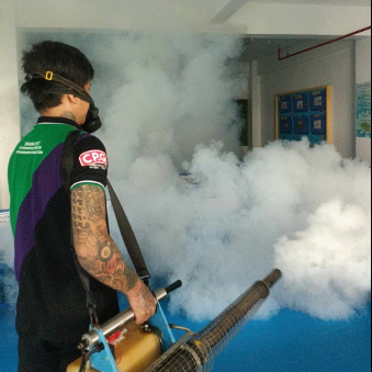 Pest Control Services in Alabang - Image 2