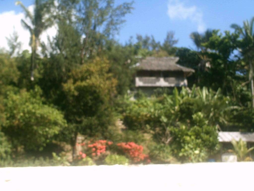 House for Sale in Romblon, Romblon, Ref# 309929 in Romblon - Image 1