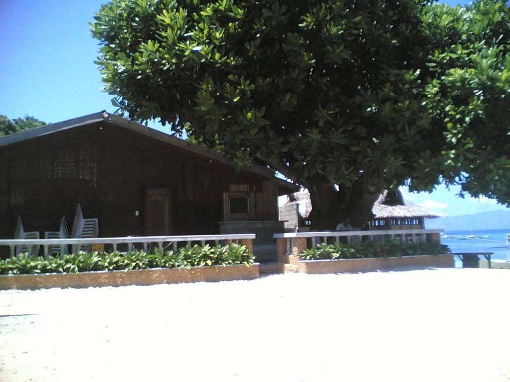 House for Sale in Romblon, Romblon, Ref# 309572 in Romblon - Image 1