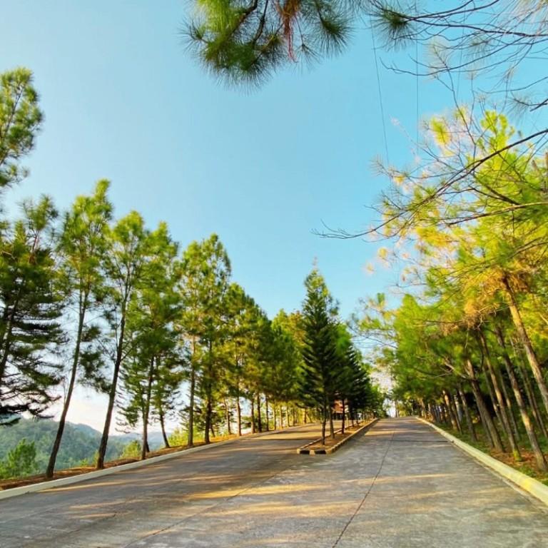 MOST AFFORDABLE SINGLE HOUSE CEBU CITY AT CAMELLA RIVERFRONT in Consolacion - Image 3