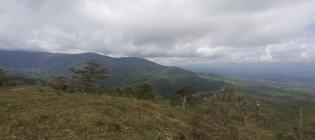 FINCA ESPECTACULAR En la Sabana de Biolley, Buenos Aires, Puntar en Desamparados - Imagen 10