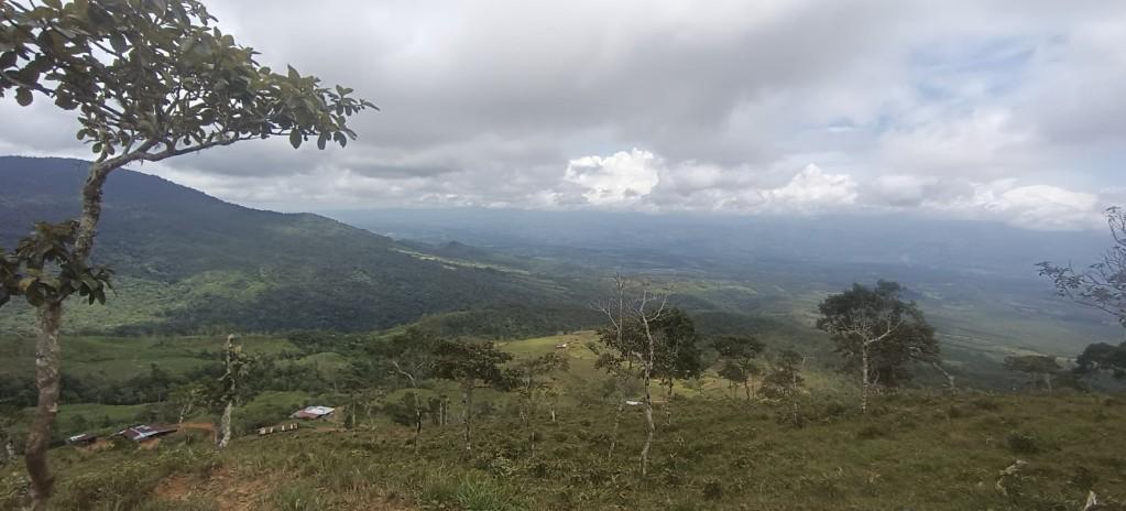 FINCA ESPECTACULAR En la Sabana de Biolley, Buenos Aires, Puntar en Desamparados - Imagen 11