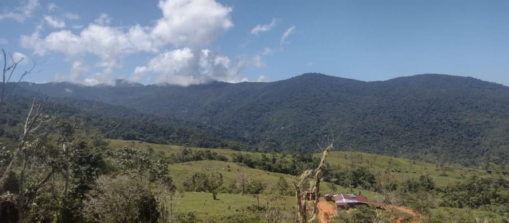 FINCA ESPECTACULAR En la Sabana de Biolley, Buenos Aires, Puntar en Desamparados - Imagen 13