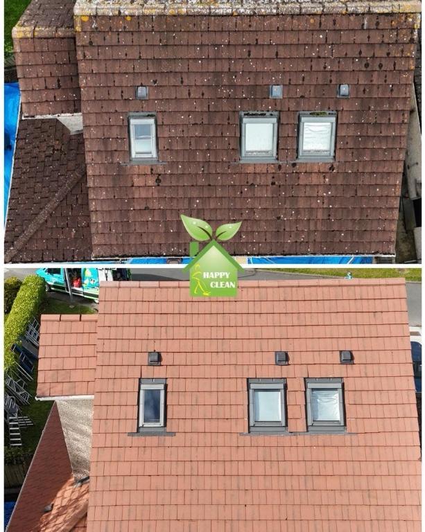 PROFESSIONAL ROOF CLEANING in Ireland - Image 1