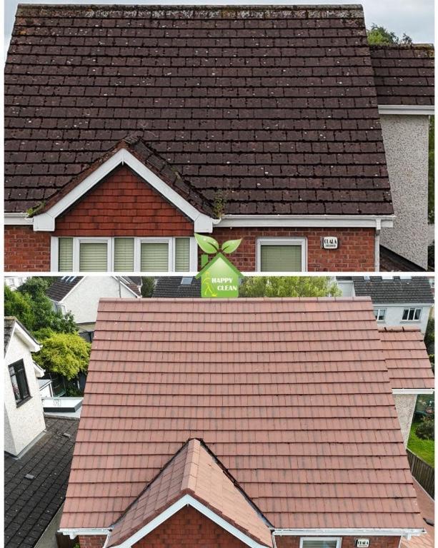 PROFESSIONAL ROOF CLEANING in Ireland - Image 2