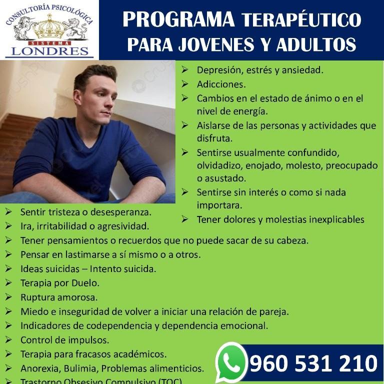 TERAPIA PSICOLOGICA en Perú - Imagen 3