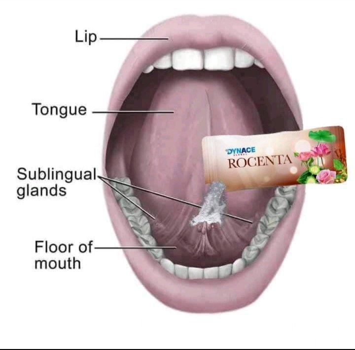 Dynace Rocenta The Ultimate Stem Cell Supplement in Ghana - Image 4