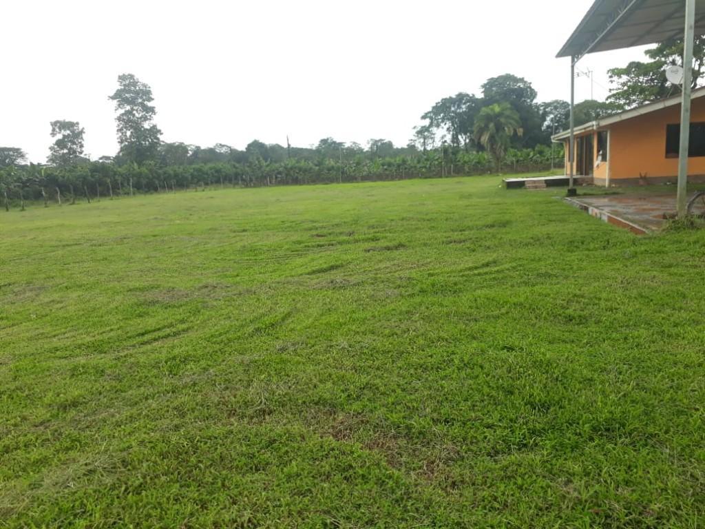 ESPECTACULAR FINCA EN SARAPIQUÍ, HEREDIA. en Desamparados - Imagen 3