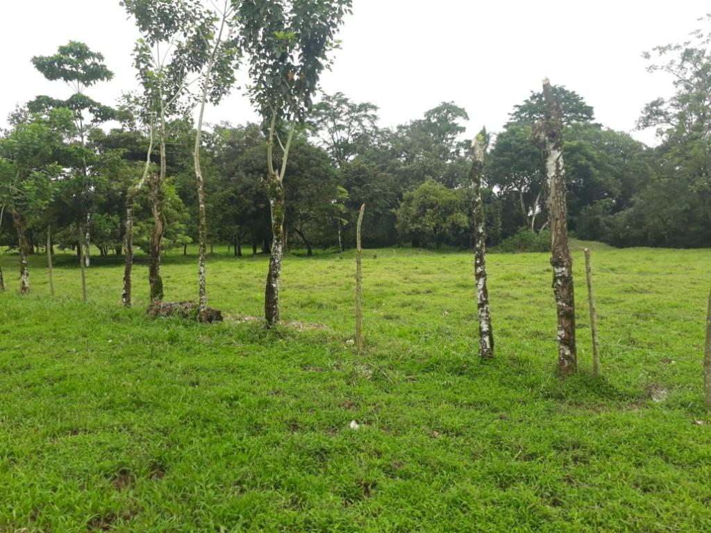 ESPECTACULAR FINCA EN SARAPIQUÍ, HEREDIA. en Desamparados - Imagen 4