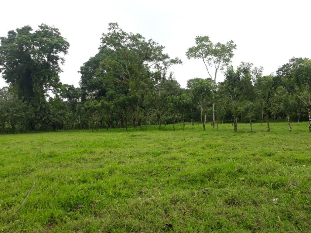 ESPECTACULAR FINCA EN SARAPIQUÍ, HEREDIA. en Desamparados - Imagen 5