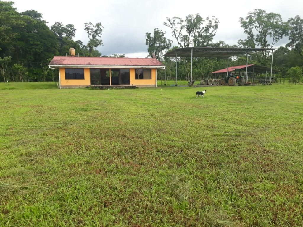 ESPECTACULAR FINCA EN SARAPIQUÍ, HEREDIA. en Desamparados - Imagen 7