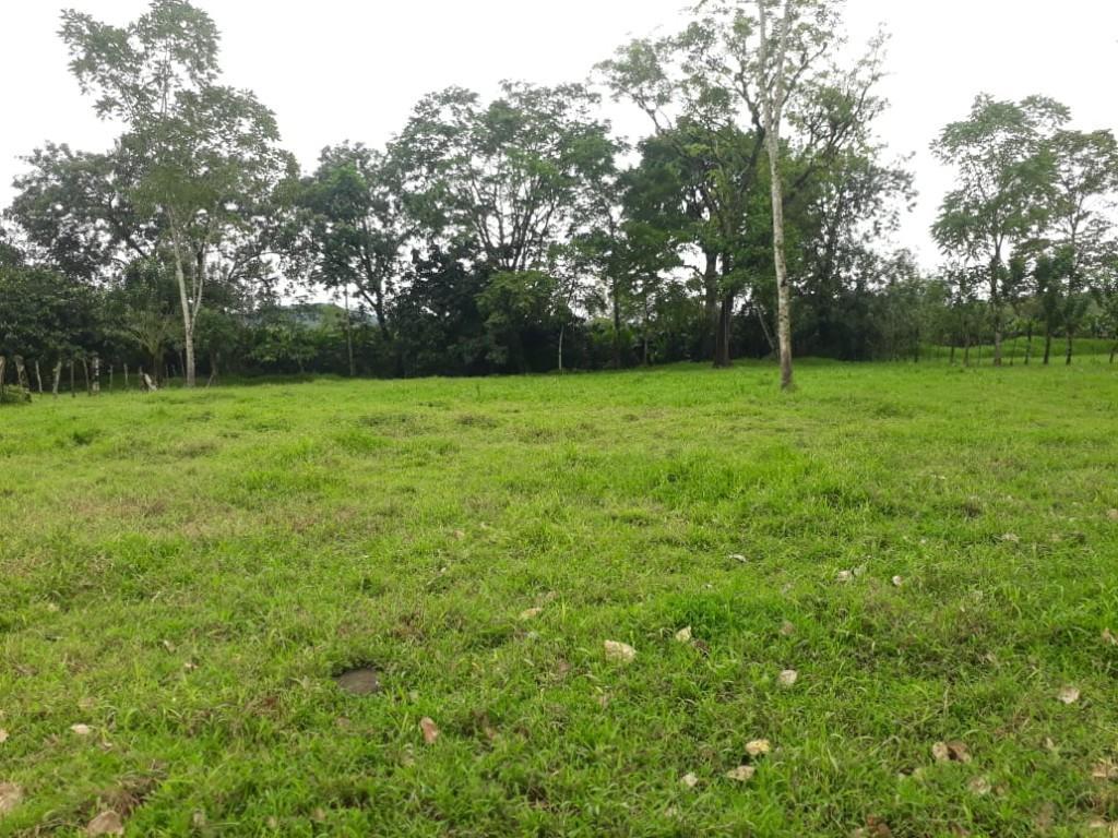 ESPECTACULAR FINCA EN SARAPIQUÍ, HEREDIA. en Desamparados - Imagen 10