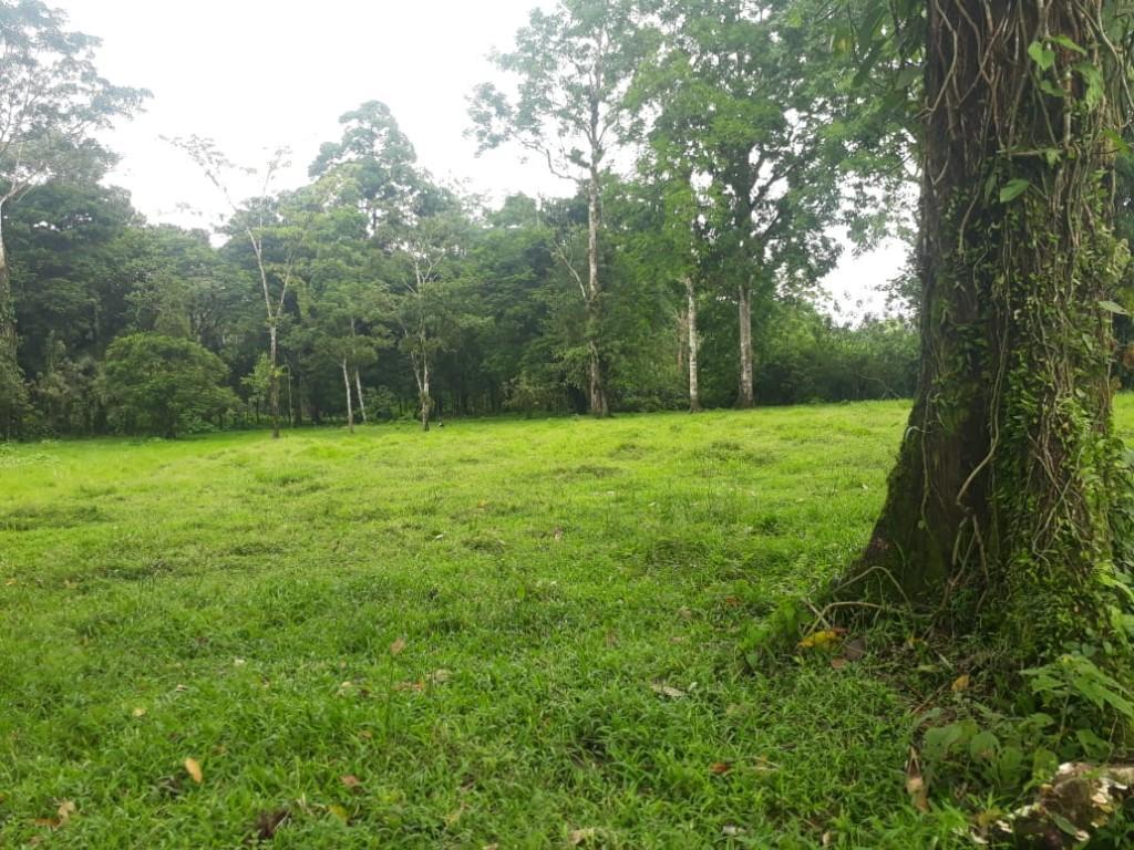 ESPECTACULAR FINCA EN SARAPIQUÍ, HEREDIA. en Desamparados - Imagen 11