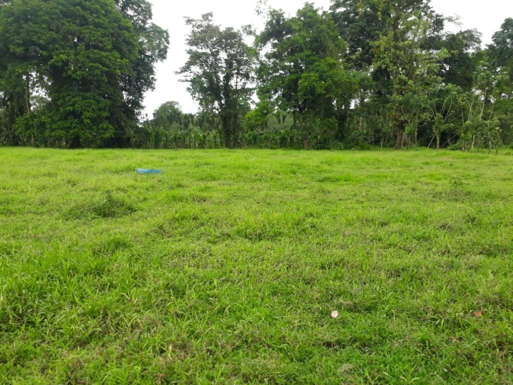 ESPECTACULAR FINCA EN SARAPIQUÍ, HEREDIA. en Desamparados - Imagen 12