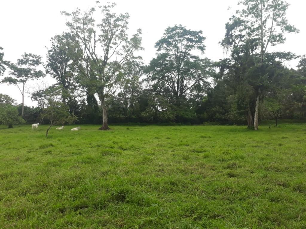 ESPECTACULAR FINCA EN SARAPIQUÍ, HEREDIA. en Desamparados - Imagen 16