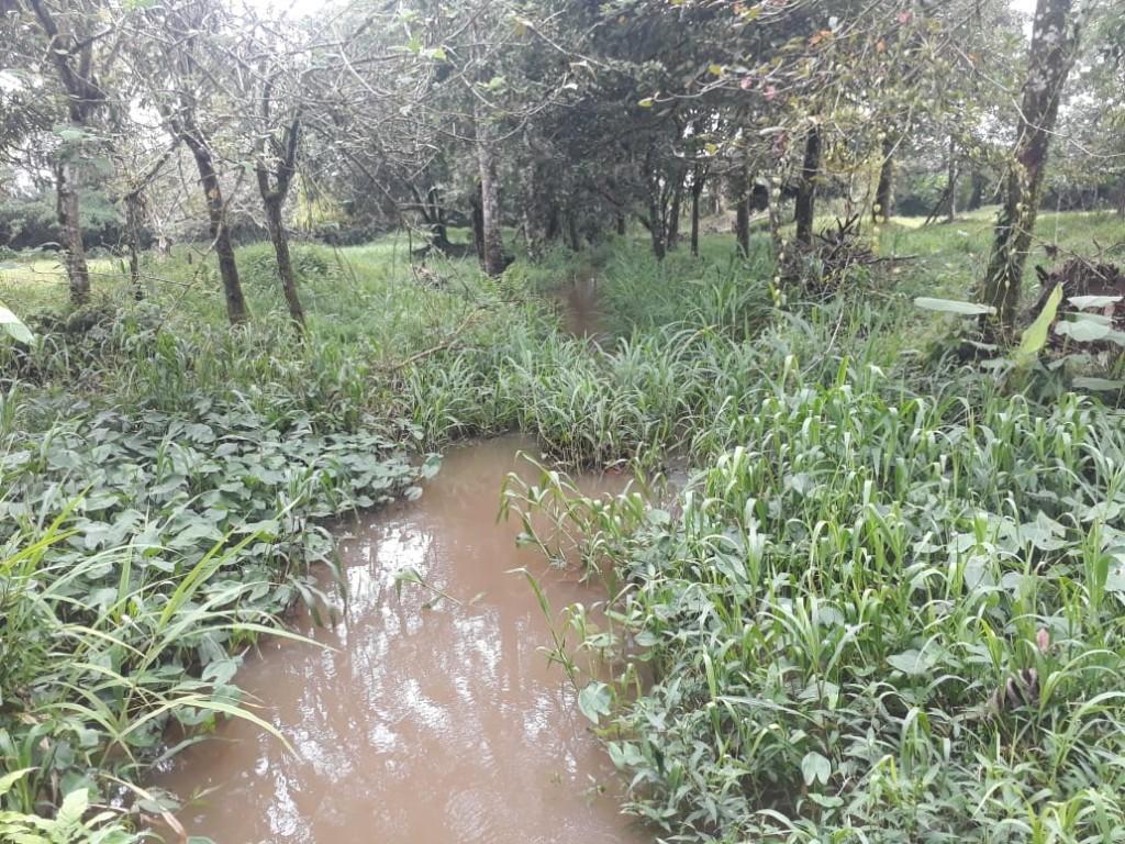 ESPECTACULAR FINCA EN SARAPIQUÍ, HEREDIA. en Desamparados - Imagen 19
